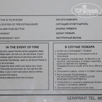 фото из отзыва ID 537145