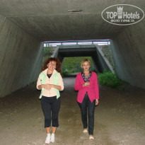 фото из отзыва ID 537339