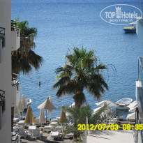 фото из отзыва ID 537324