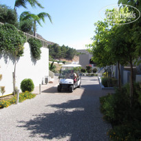 фото из отзыва ID 537541