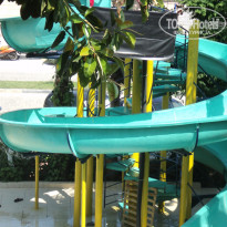 фото из отзыва ID 537732