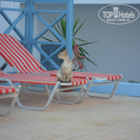 фото из отзыва ID 537821