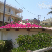 фото из отзыва ID 537821