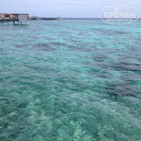 фото из отзыва ID 537885