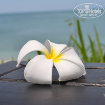 фото из отзыва ID 537905