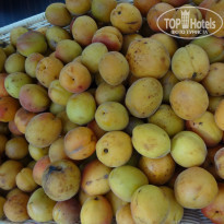 фото из отзыва ID 538116