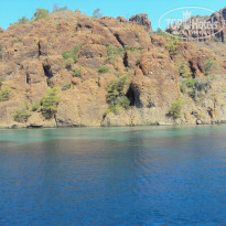 фото из отзыва ID 538398