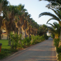 фото из отзыва ID 538599