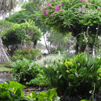 фото из отзыва ID 538732