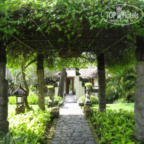 фото из отзыва ID 538732