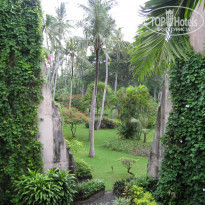 фото из отзыва ID 538732