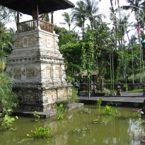 фото из отзыва ID 538732