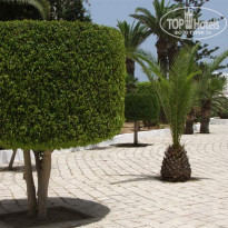 фото из отзыва ID 538963