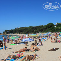 фото из отзыва ID 539746