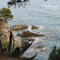 фото из отзыва ID 539746