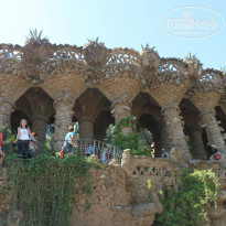 фото из отзыва ID 539746