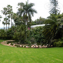 фото из отзыва ID 539081