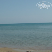 фото из отзыва ID 539129