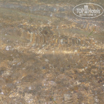 фото из отзыва ID 539129