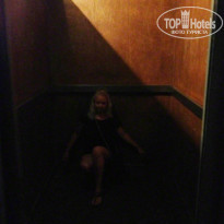 фото из отзыва ID 539147