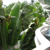 фото из отзыва ID 539377