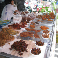 фото из отзыва ID 539377