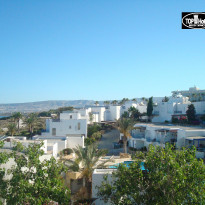 фото из отзыва ID 539714