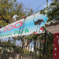 фото из отзыва ID 539725