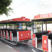 фото из отзыва ID 539725