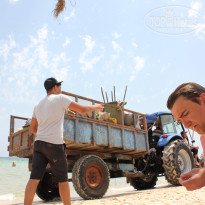 фото из отзыва ID 539725