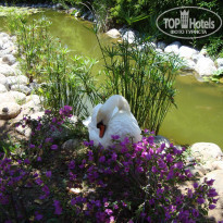 фото из отзыва ID 539897