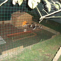 фото из отзыва ID 539897