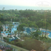 фото из отзыва ID 539897