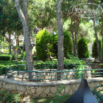 фото из отзыва ID 539897