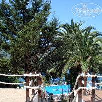 фото из отзыва ID 540016