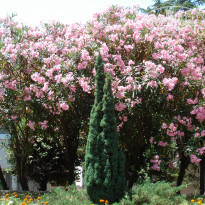 фото из отзыва ID 540016