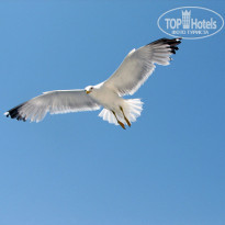 фото из отзыва ID 540112