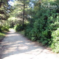 фото из отзыва ID 540112