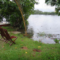 фото из отзыва ID 540426