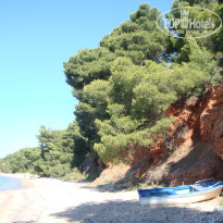 фото из отзыва ID 540379