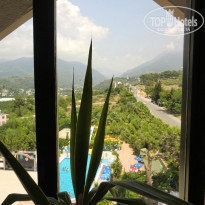 фото из отзыва ID 540601