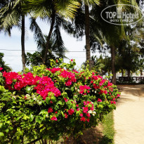 фото из отзыва ID 540719