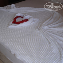 фото из отзыва ID 540819