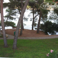 фото из отзыва ID 54177