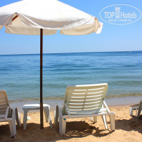 фото из отзыва ID 541008