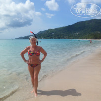 фото из отзыва ID 541011