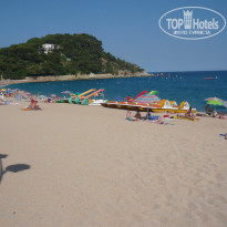 фото из отзыва ID 541077