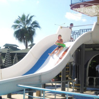 фото из отзыва ID 541182