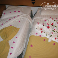 фото из отзыва ID 541379