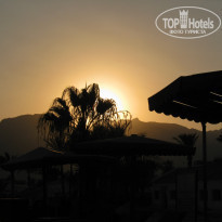 фото из отзыва ID 541379